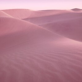 Desert Eden - Eau de Parfum